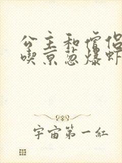 公主和僧侣 爱吃京葱爆虾的当归