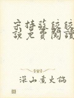 宋持苏皎皎的小说免费阅读