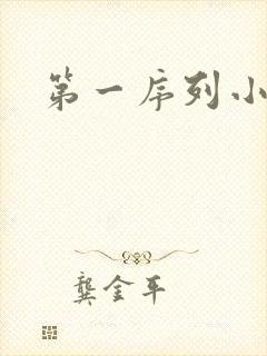 第一序列小说封面