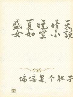 盛夏晚晴天之美女如云小说封面