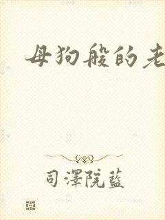 母狗般的老师封面