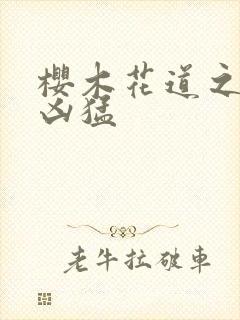 樱木花道之重生凶猛