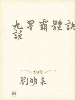 九星霸体诀 小说