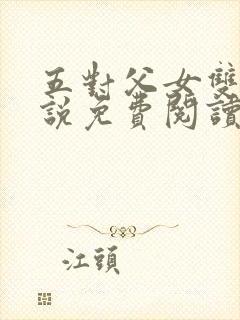 五对父女双飞小说免费阅读封面