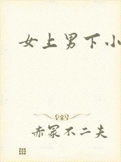 女上男下小说