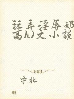 玩弄淫辱奶头(高h)文小说封面