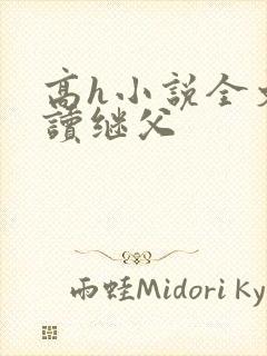 高h小说全文阅读继父