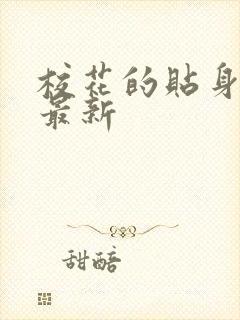 校花的贴身高手最新封面