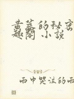 黄蓉的秘密 笔趣阁 小说