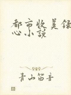 都市收美录宁素心小说