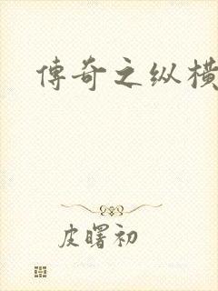 传奇之纵横玛法