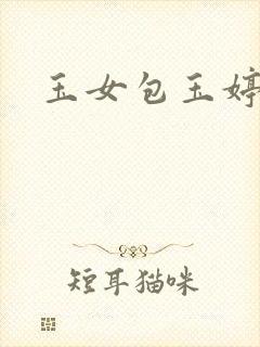 玉女包玉婷封面