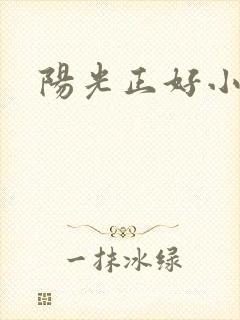 阳光正好小说封面