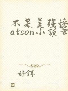 不是美强惨是batson小说笔趣阁