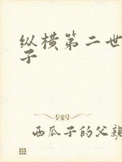 纵横第二世界宽子