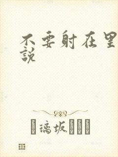 不要射在里面小说