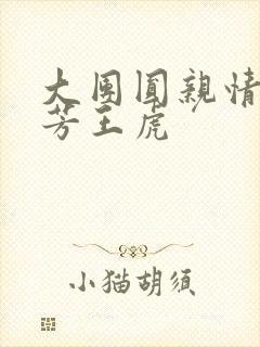 大团圆亲情会王芳王虎封面