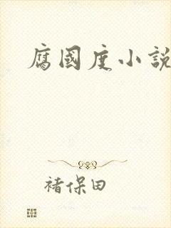 腐国度小说