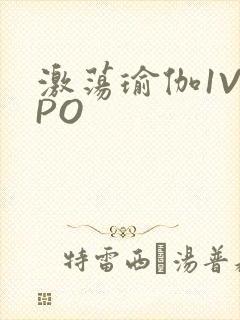 激荡瑜伽1V2PO