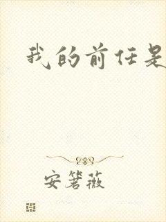 我的前任是极品