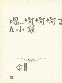 嗯..啊啊啊高h小说封面