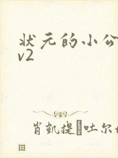 状元的小公主1v2封面