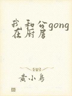 我和公gong在厨房