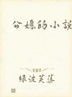 公媳的小说
