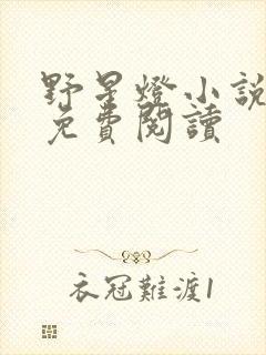 野星灯小说全文免费阅读