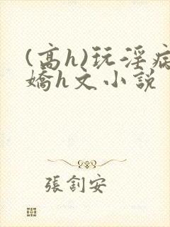 (高h)玩淫病娇h文小说