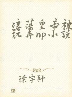 浪荡皇帝被多人玩弄np小说封面