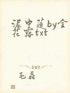 泥中莲by金银花露txt封面