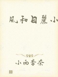 风和日丽小说