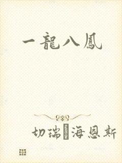 一龙八凤封面