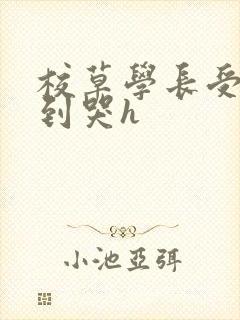 校草学长受被做到哭h封面