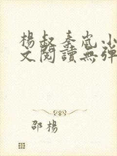 杨叔秦岚小说全文阅读无弹窗