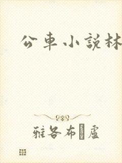 公车小说林蔓蔓