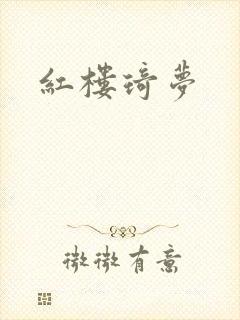 红楼琦梦