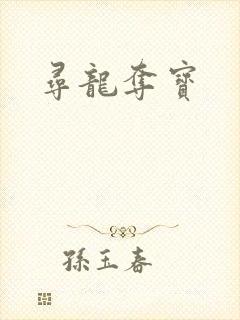 寻龙夺宝