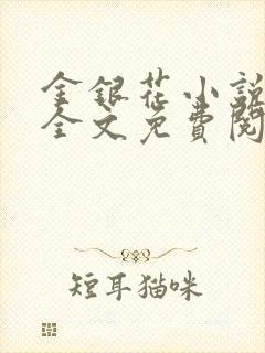 金银花小说在线全文免费阅读