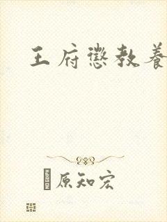 王府惩教养日常