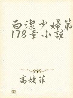 白洁少妇第1一178章小说