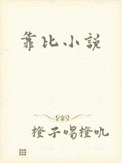 靠比小说