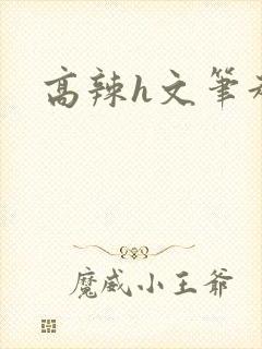 高辣h文笔趣阁