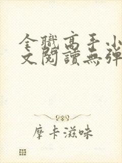 全职高手小说全文阅读无弹窗封面