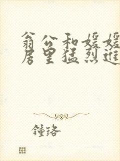 翁公和媛媛在厨房里猛烈进出