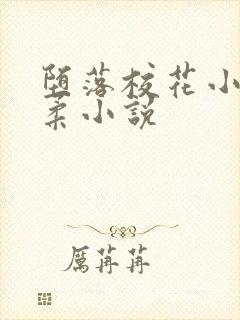 堕落校花小雪小柔小说封面