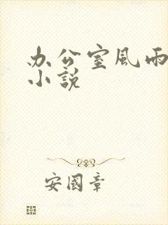 办公室风雨完整小说