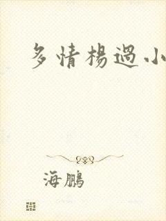 多情杨过小说封面