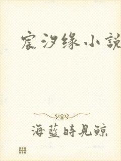 宸汐缘小说封面